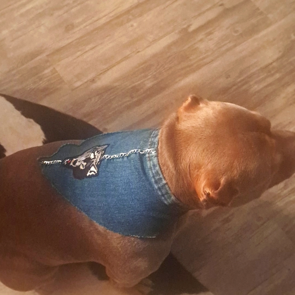 TRUE DOG JEAN SCARF
